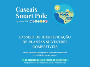Passeio de Identificação de Plantas Silvestres Comestíveis