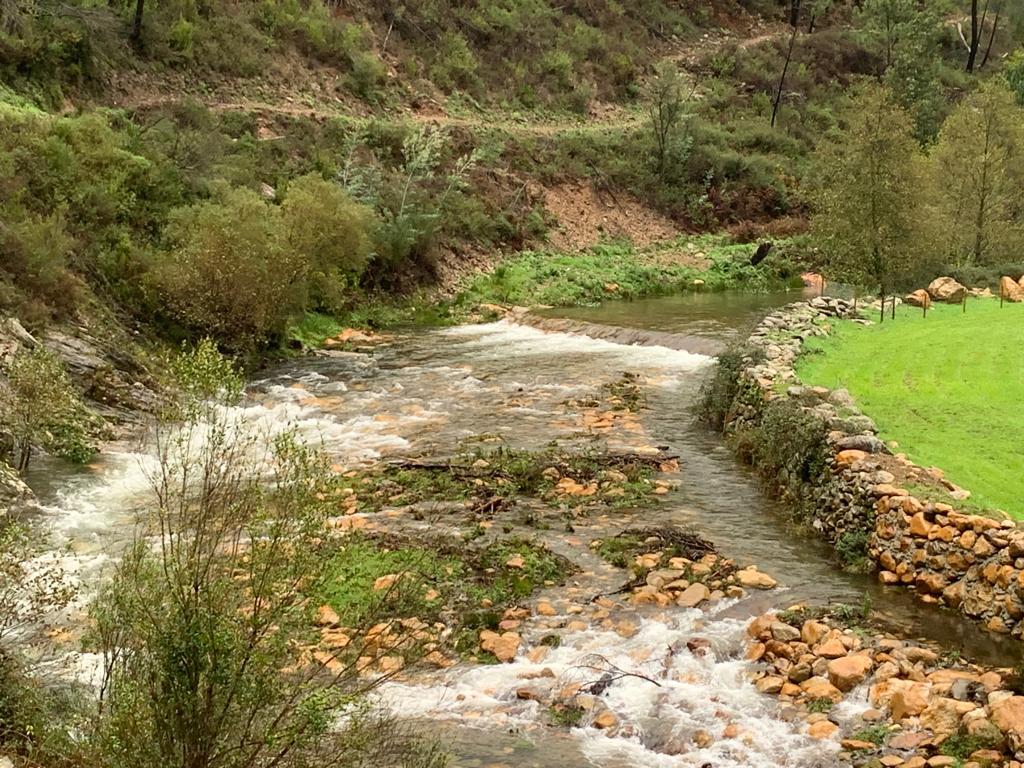 Visita às obras na margem do Rio Ceira