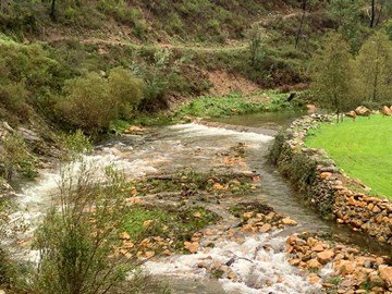 Visita às obras na margem do Rio Ceira