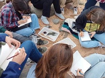 Conferência A proteção do Ouriço não acaba aqui!