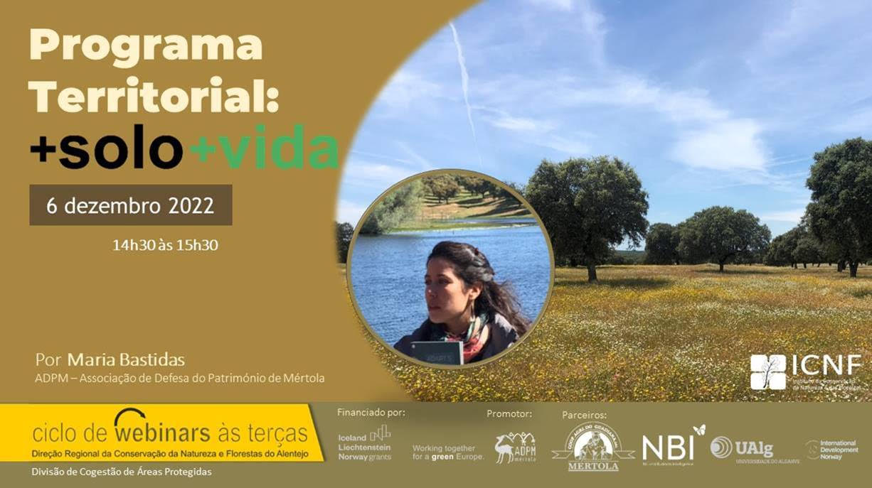 Webinar "Programa Territorial: +SOLO + VIDA"