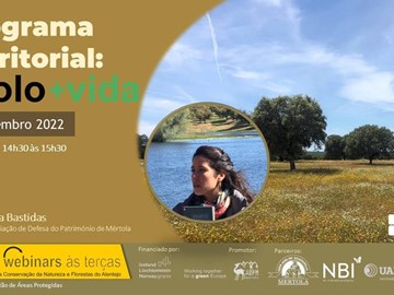 Webinar "Programa Territorial: +SOLO + VIDA"