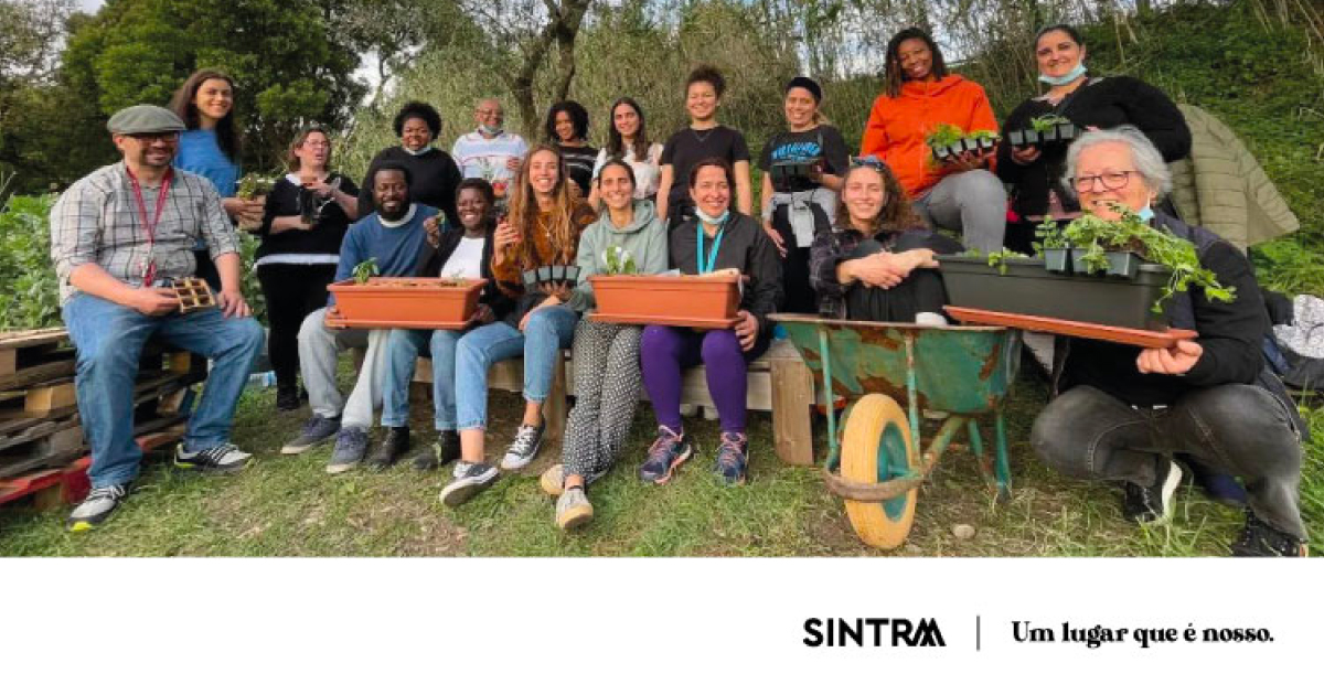 Projeto de economia circular e descarbonização no Bairro da Tabaqueira em Sintra
