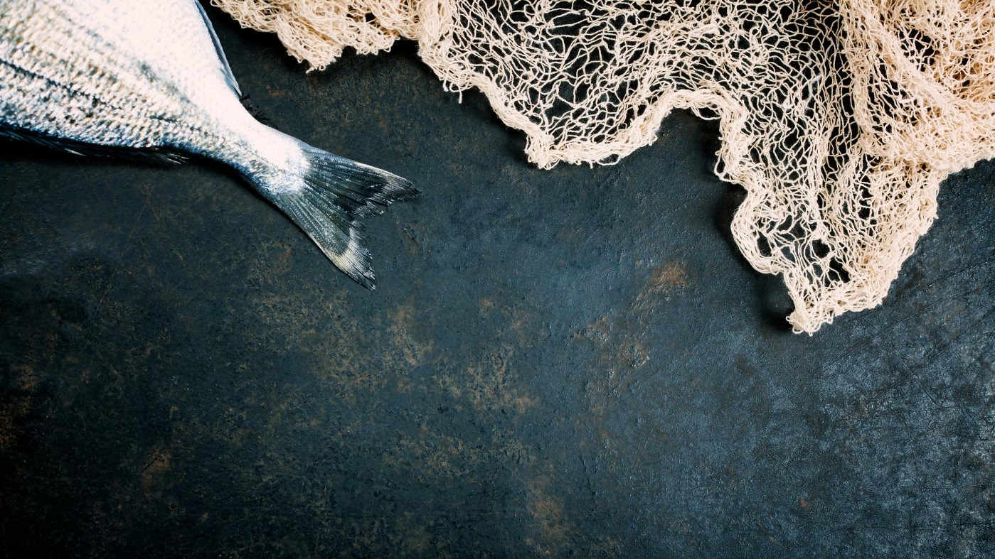 Roadmap4MarineCoproducts - “Framework design of the Portuguese Roadmap for marine coproduct valorisation - lessons learned from Norway and Iceland”