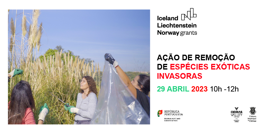 Ação de remoção de espécies exóticas invasoras