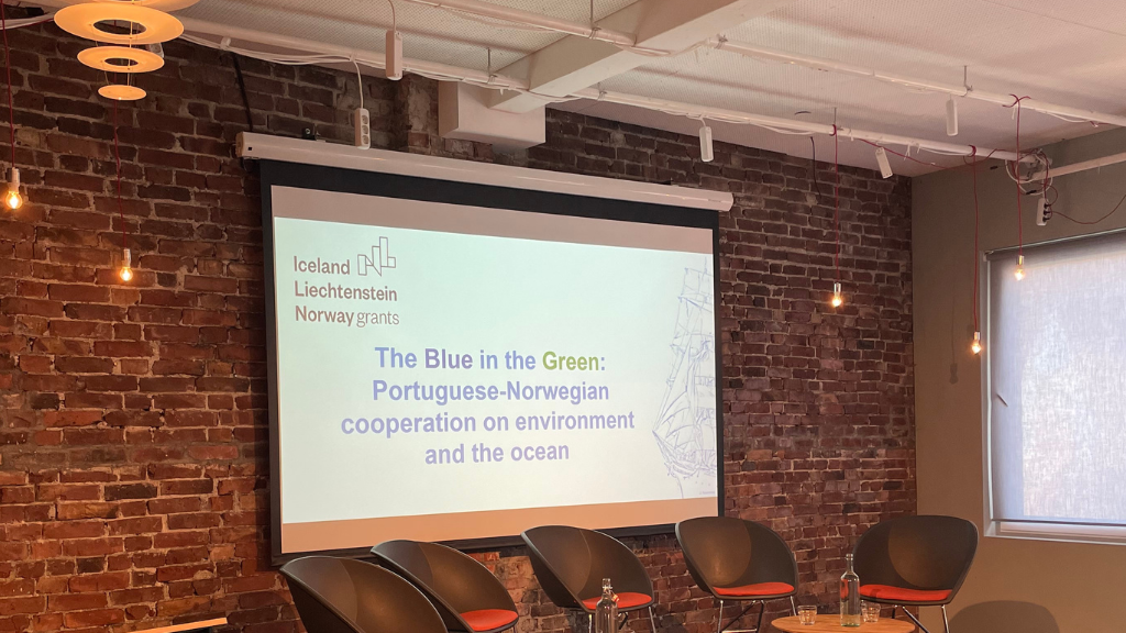 One Ocean Week Header