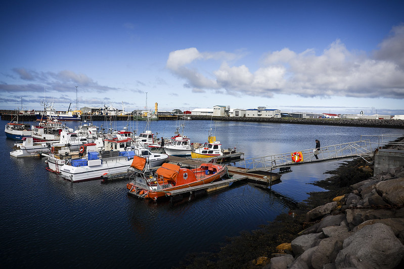 PDP 07 - Portugal e Islândia: unidos pela biodiversidade