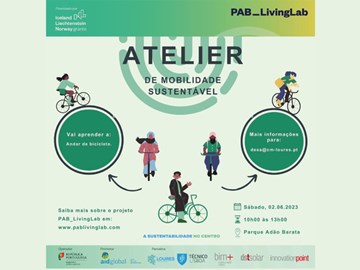 Sustainable Mobility Workshop