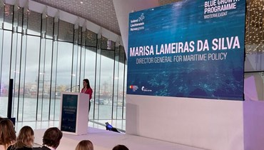 Midterm Event do Programa Crescimento Azul dos EEA Grants 