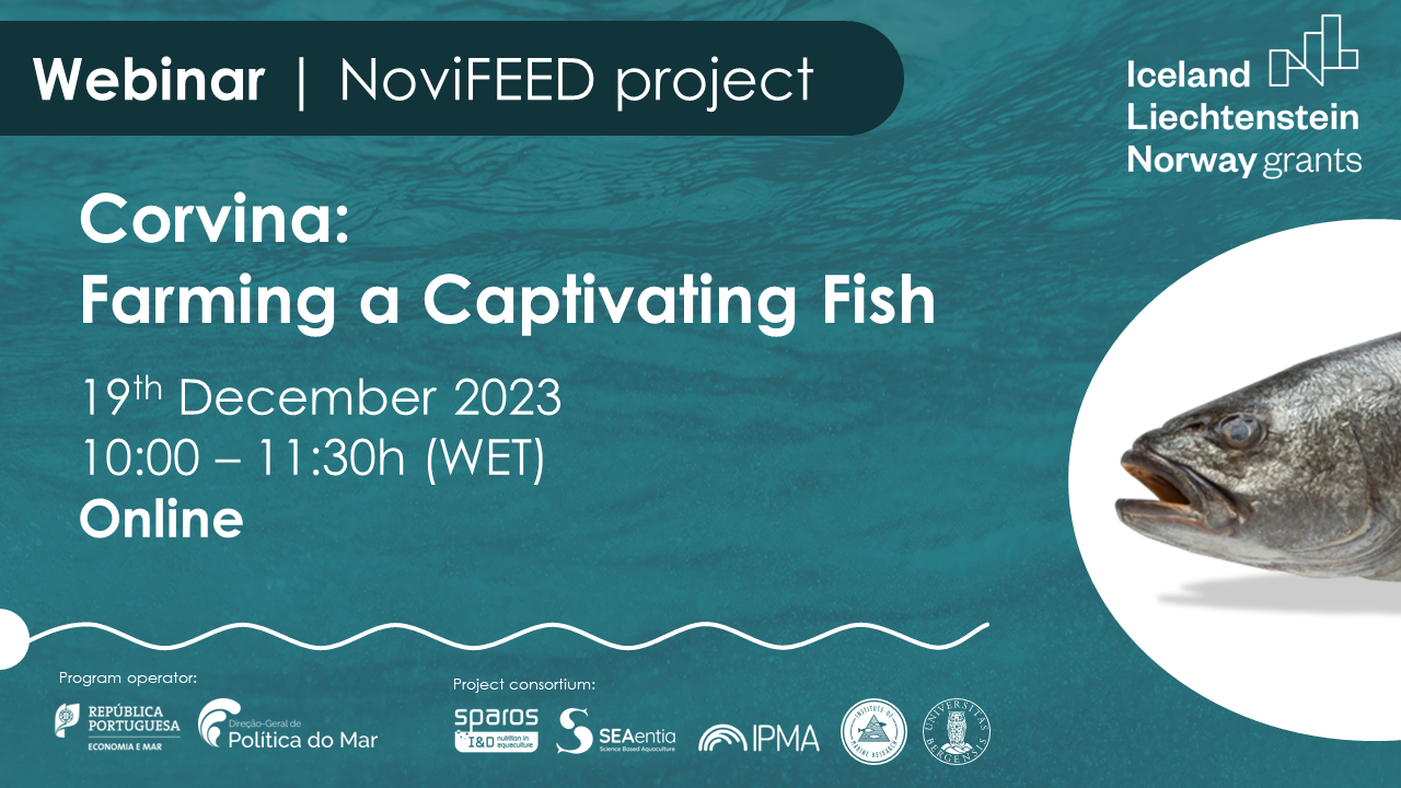 Webinar | Corvina: Farming a Captivating Fish