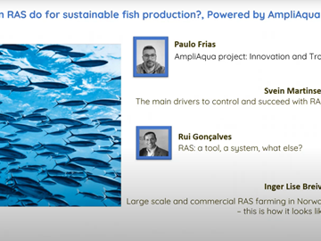 What can Recirculating Aquaculture Systems do for sustainable fish production?