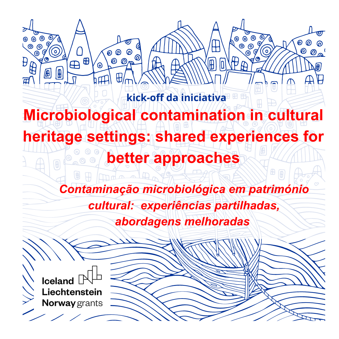 Microbiological contamination in cultural heritage settings: shared experiences for better approaches