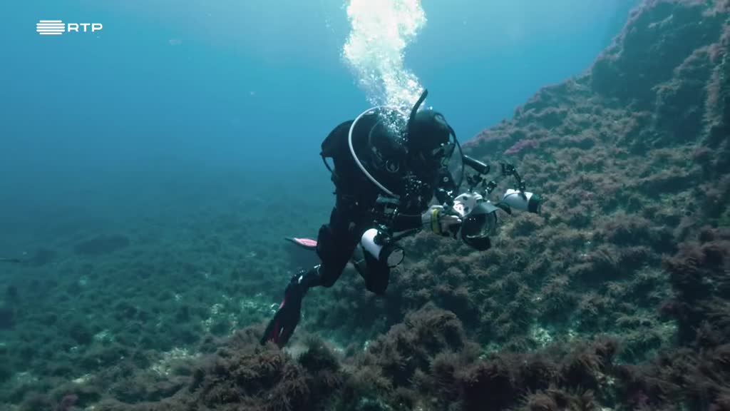 Conheça o Projeto MaB - Reservas da Biosfera Portuguesas