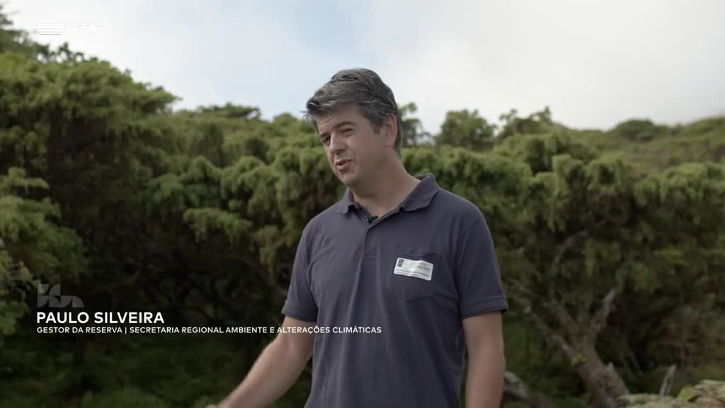 Conheça a Reserva da Biosfera das Fajãs de São Jorge