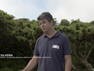 Conheça a Reserva da Biosfera das Fajãs de São Jorge