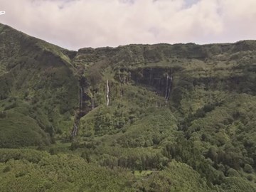 Conheça a Reserva da Biosfera da Ilha das Flores