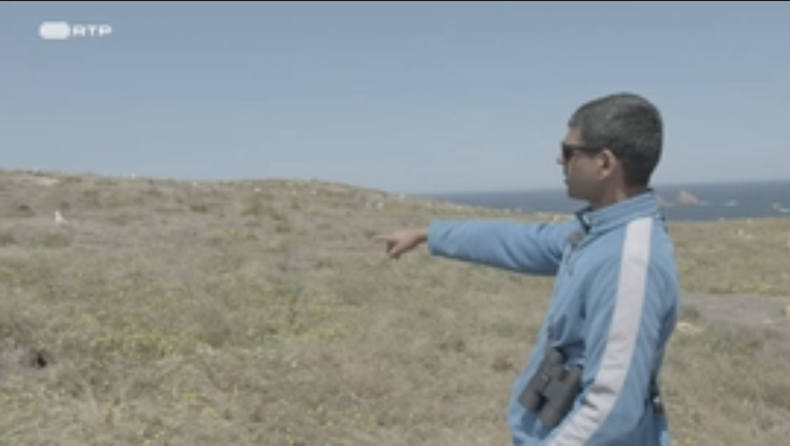 Conheça a Reserva da Biosfera das Berlengas