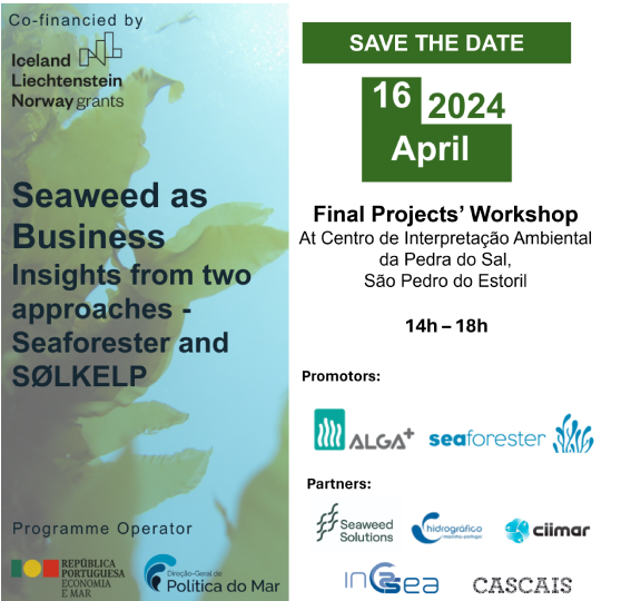 Seaweed as Business: Insigths from two approaches - Seaforester ans Solkelp