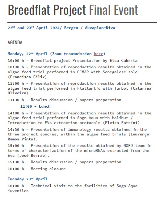 Breedflat Project Final Event