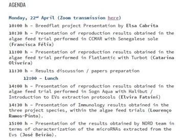 Breedflat Project Final Event
