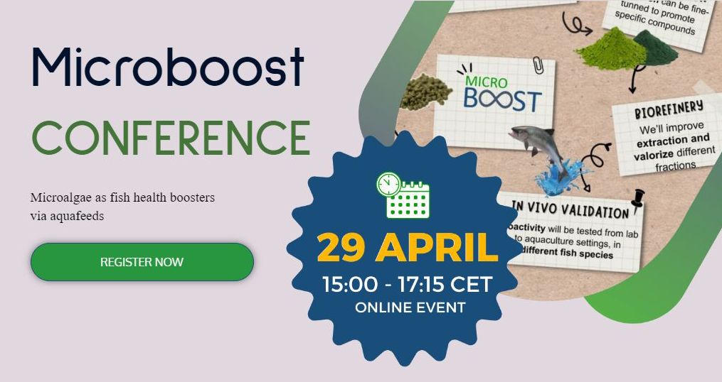 Conferência Final MICROBOOST