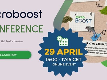 Conferência Final MICROBOOST