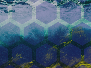 Apresentação de Resultados Projeto Recycled Reef