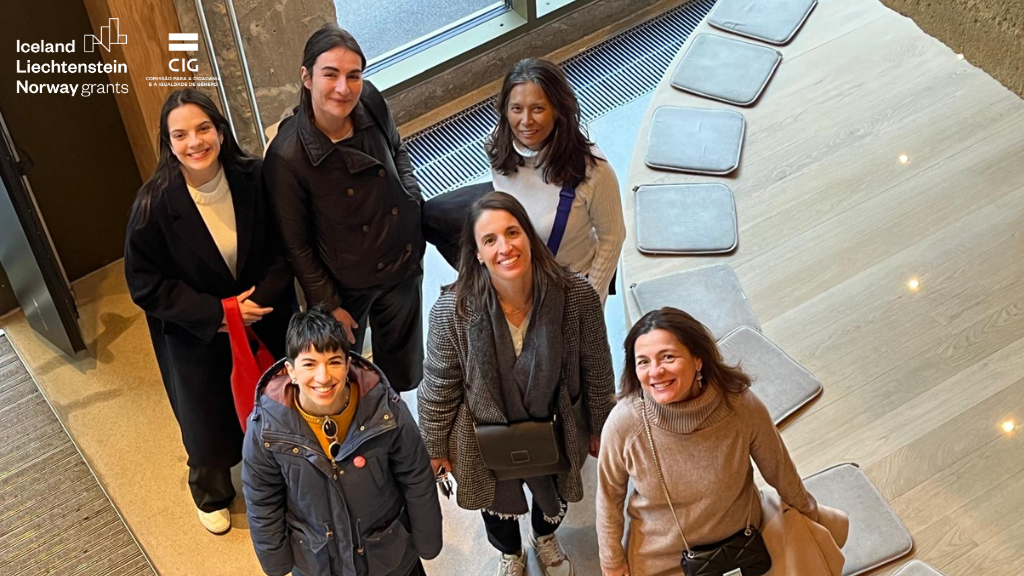 12Ccmeeting Conteudo