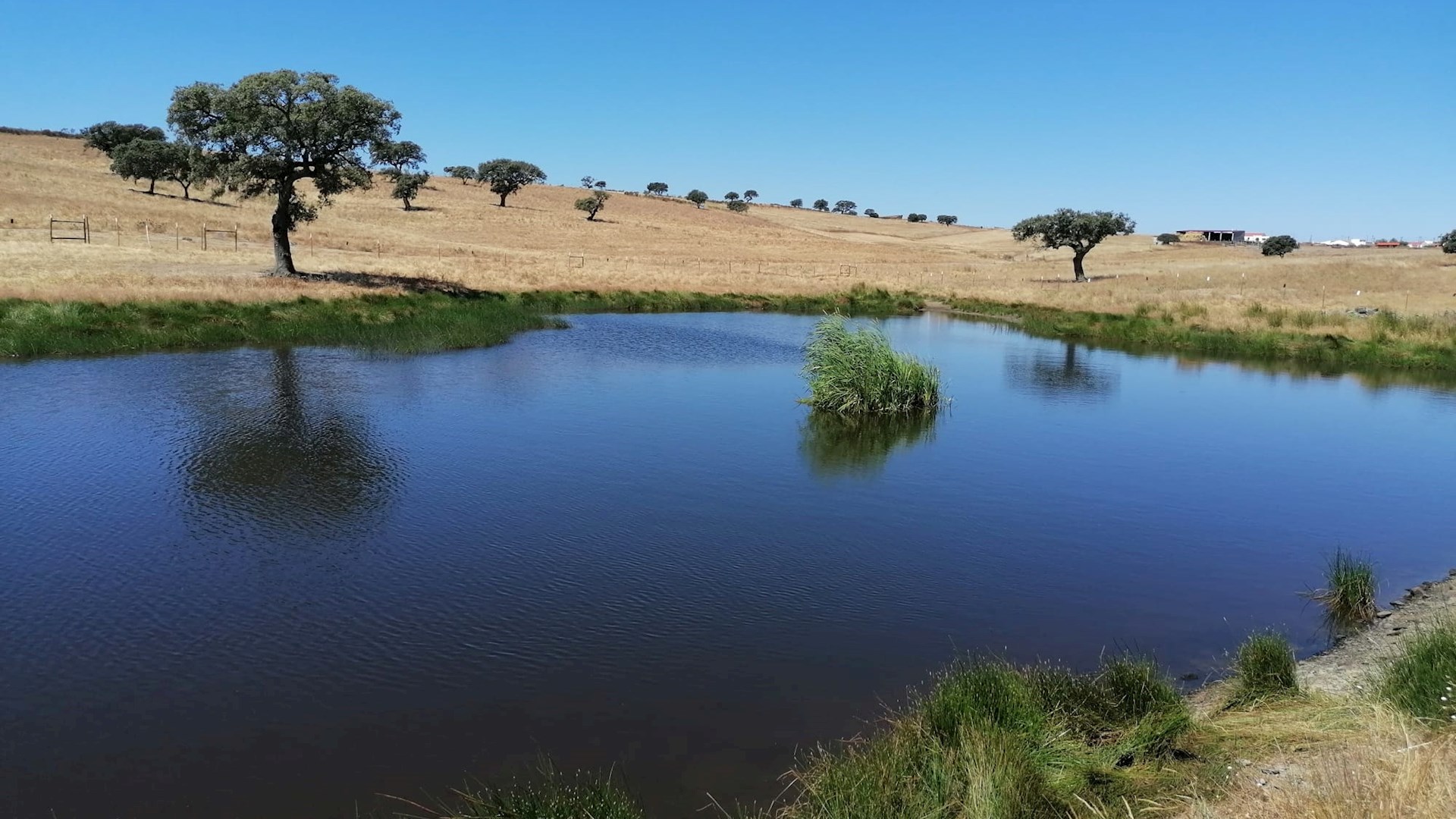 Programa Ambiente dos EEA Grants Portugal promove resiliência climática no Baixo Alentejo e no Parque Natural do Vale do Guadiana