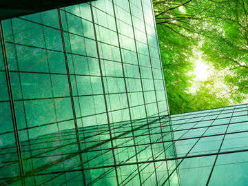 Business Cooperation and the European Green Deal