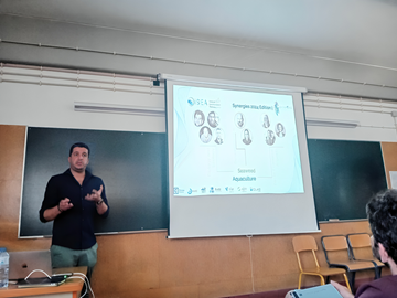 Evento final do Projeto iSEA, uma iniciativa para uma cultura sustentável de macroalgas ao longo das costas europeias