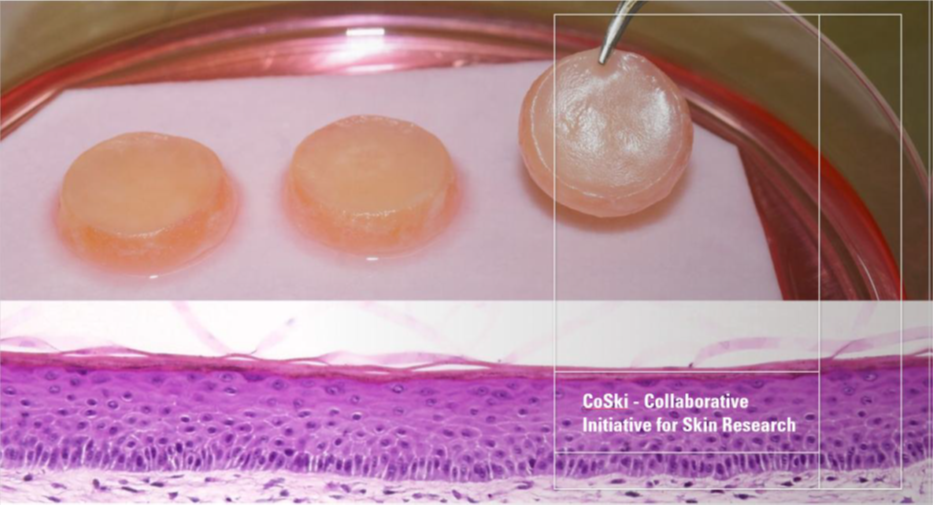 Terminou  a Iniciativa Colaborativa para a Investigação da Pele, financiada pelo Fundo de Relações Bilaterais
